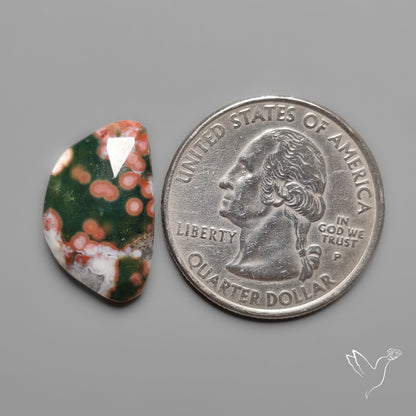 Rose Cut Orbicular Ocean Jasper