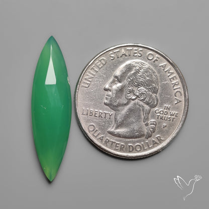 Rose Cut Gemmy Chrysoprase