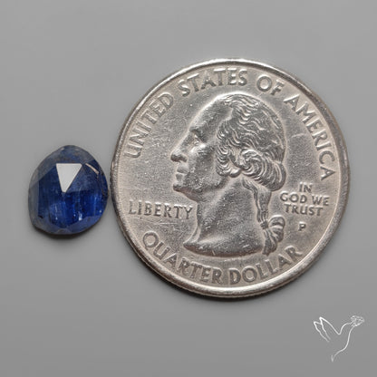 Rose Cut Blue Kyanite