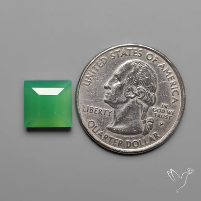 Step Cut Gemmy Chrysoprase