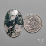 Rose Cut Moss Agate
