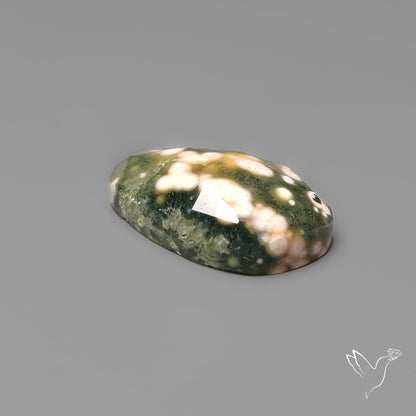 Rose Cut Orbicular Ocean Jasper