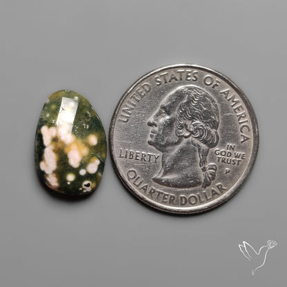 Rose Cut Orbicular Ocean Jasper