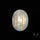 Rainbow Moonstone Cabochon