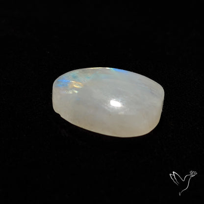 Rainbow Moonstone Cabochon