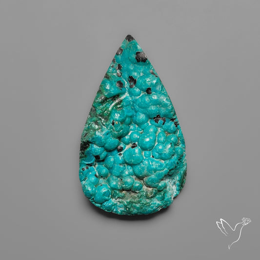 Rare Botryoidal Chrysocolla Raw Faced