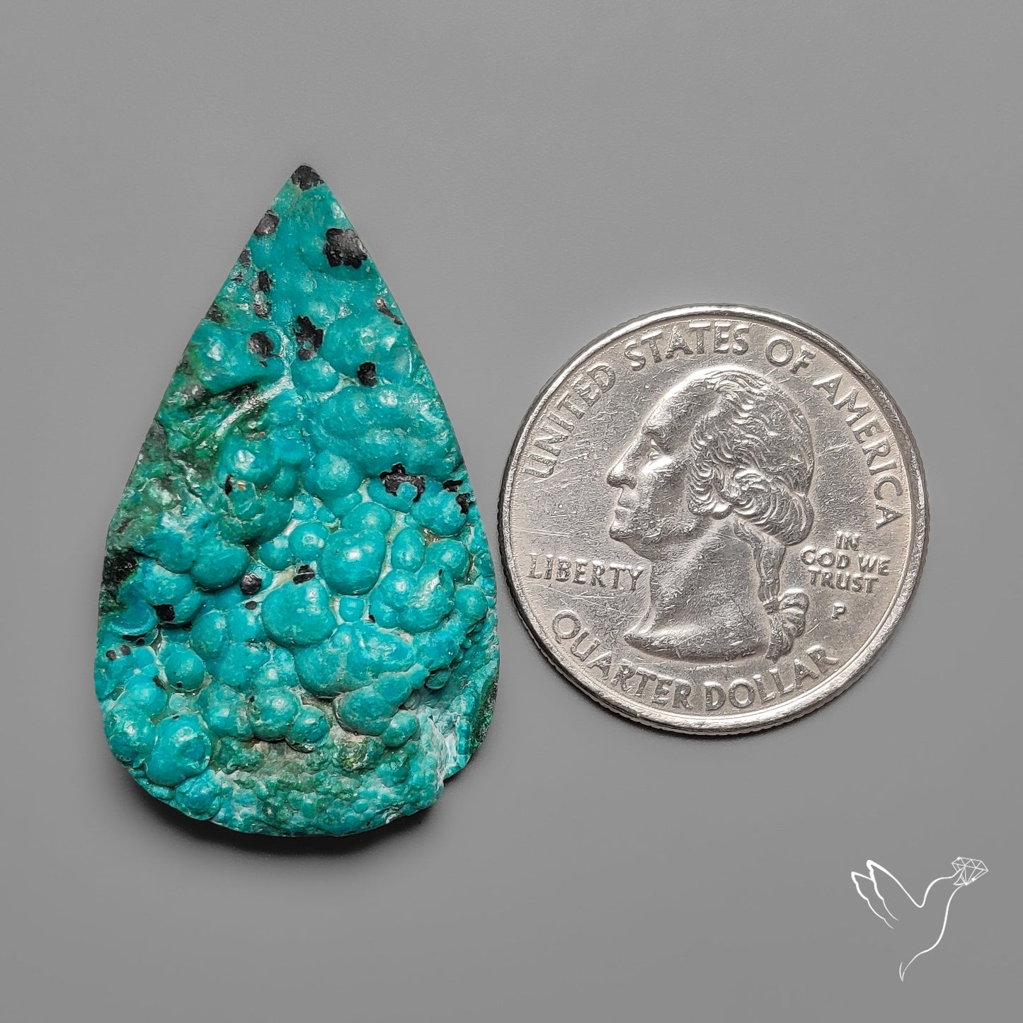 Rare Botryoidal Chrysocolla Raw Faced