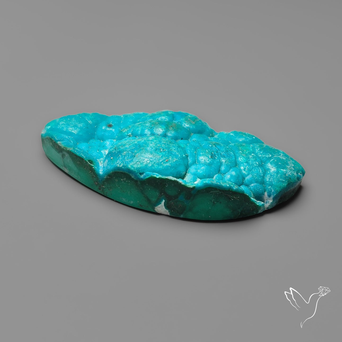 Rare Botryoidal Chrysocolla Raw Faced