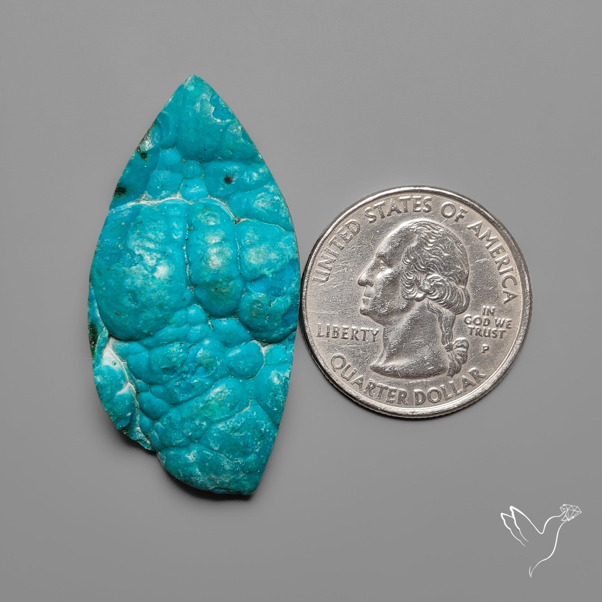 Rare Botryoidal Chrysocolla Raw Faced
