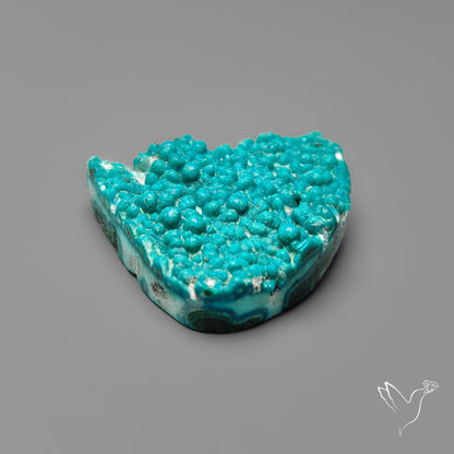Rare Botryoidal Chrysocolla Raw Faced