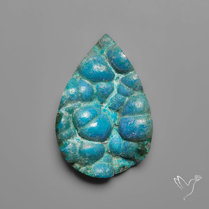 Rare Botryoidal Chrysocolla Raw Faced