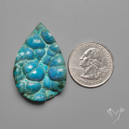 Rare Botryoidal Chrysocolla Raw Faced