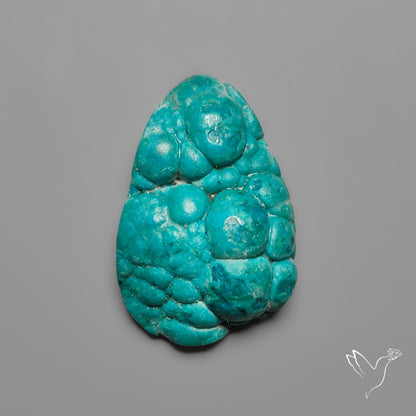 Rare Botryoidal Chrysocolla Raw Faced