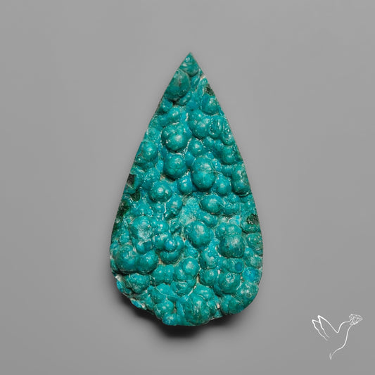 Rare Botryoidal Chrysocolla Raw Faced