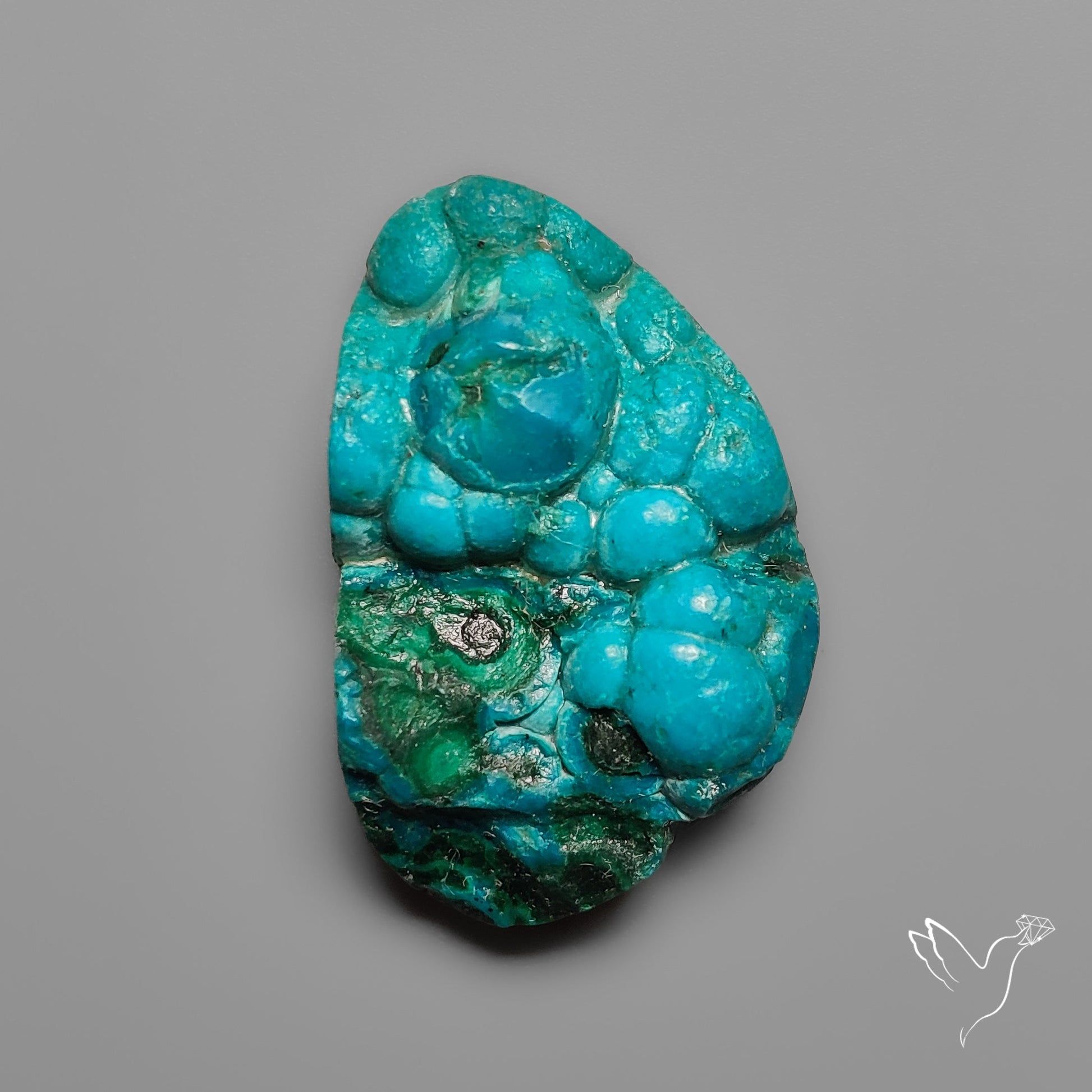 Rare Botryoidal Chrysocolla Raw Faced