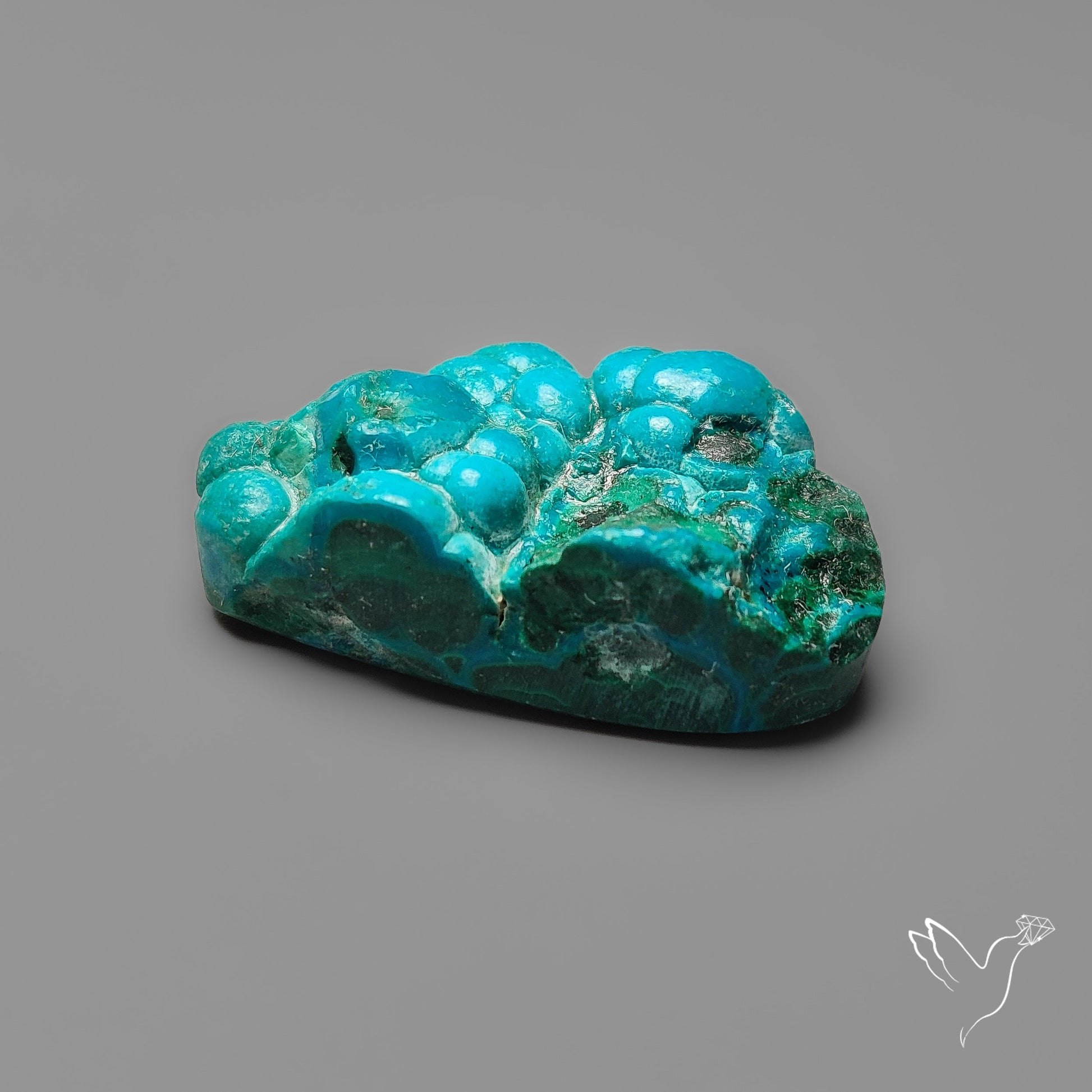 Rare Botryoidal Chrysocolla Raw Faced