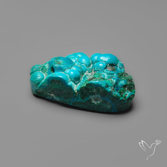 Rare Botryoidal Chrysocolla Raw Faced