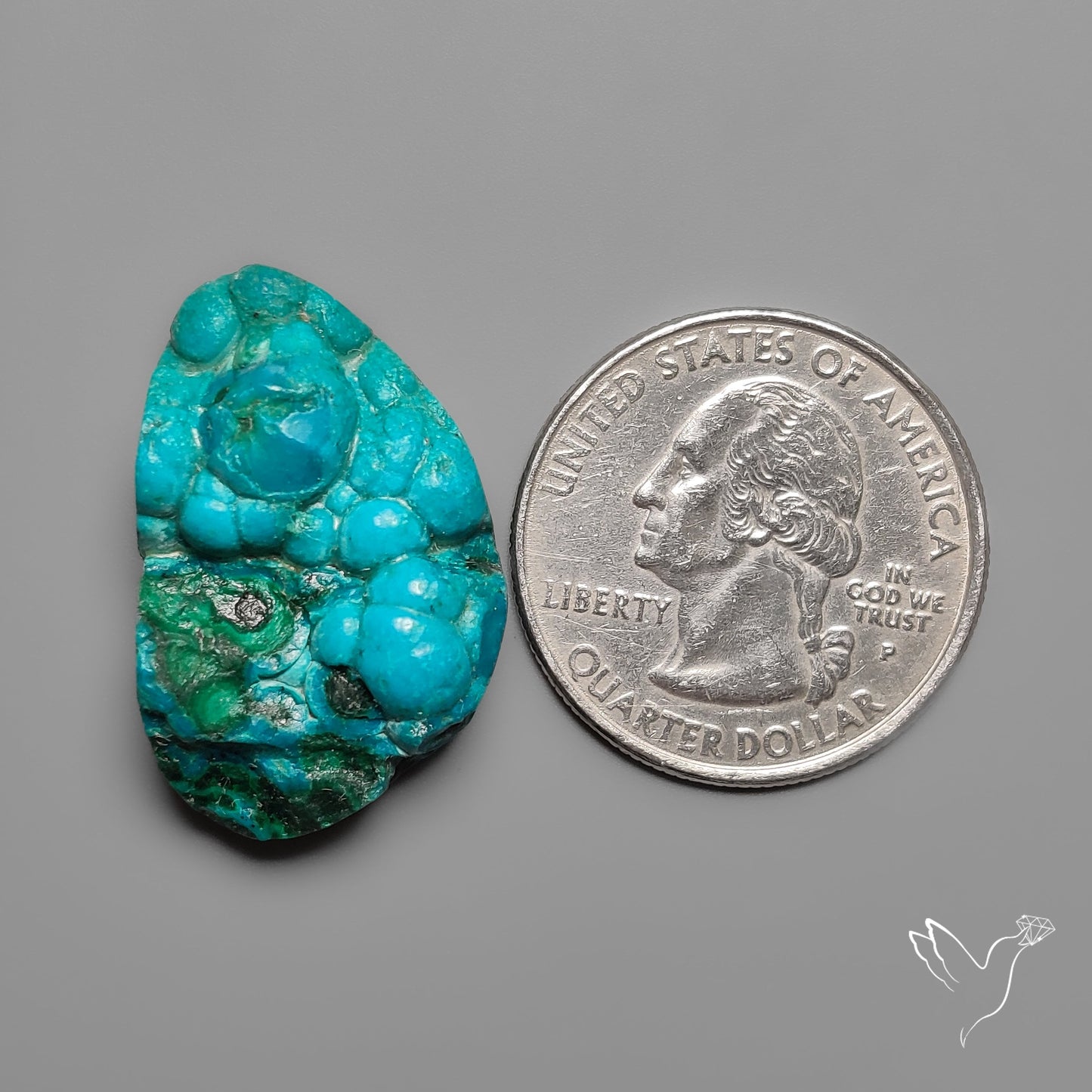Rare Botryoidal Chrysocolla Raw Faced