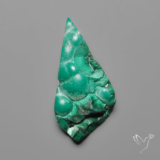 Rare Botryoidal Chrysocolla Malachite Raw Faced