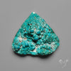 Rare Botryoidal Chrysocolla Raw Faced
