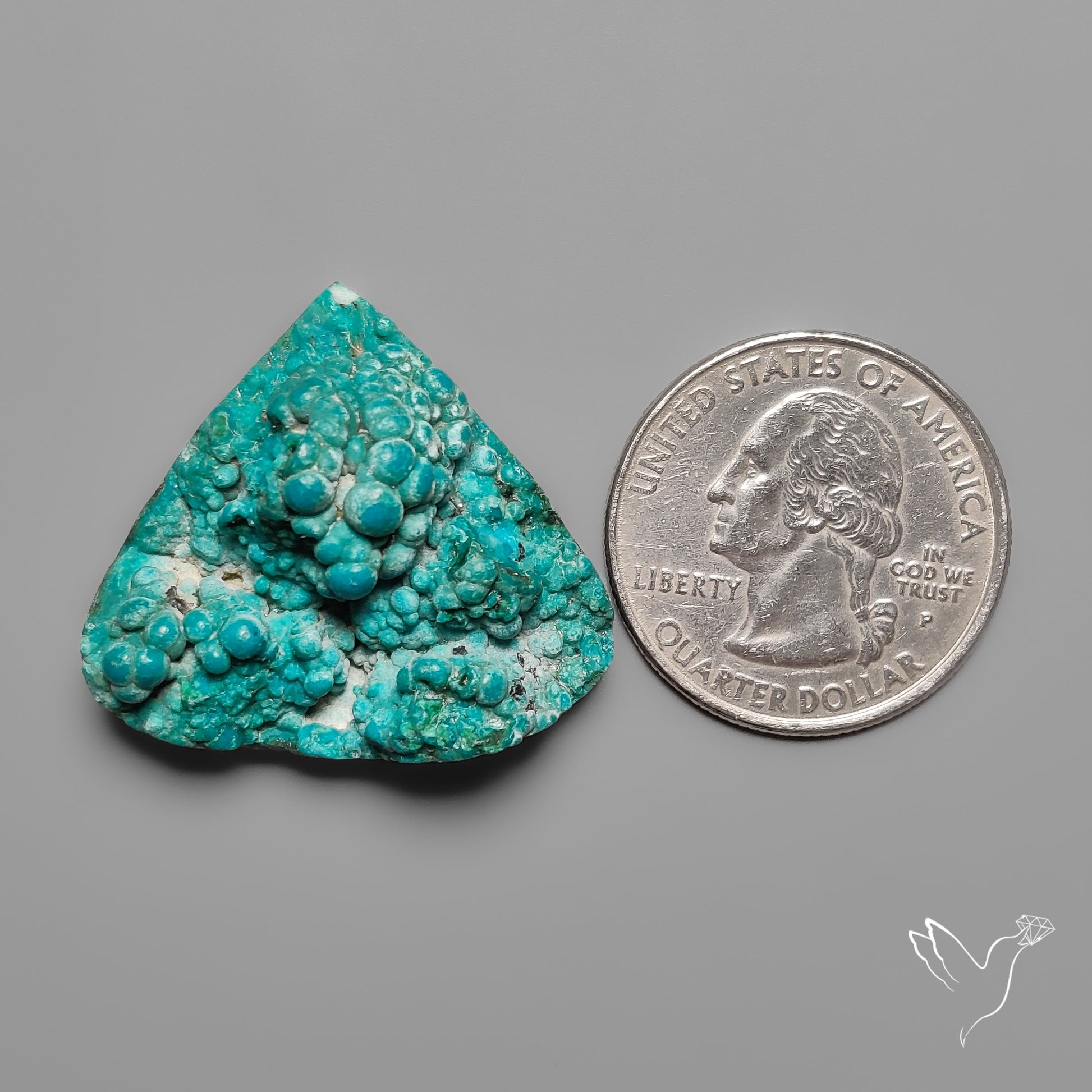 Rare Botryoidal Chrysocolla Raw Faced