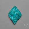 Rare Botryoidal Chrysocolla Raw Faced