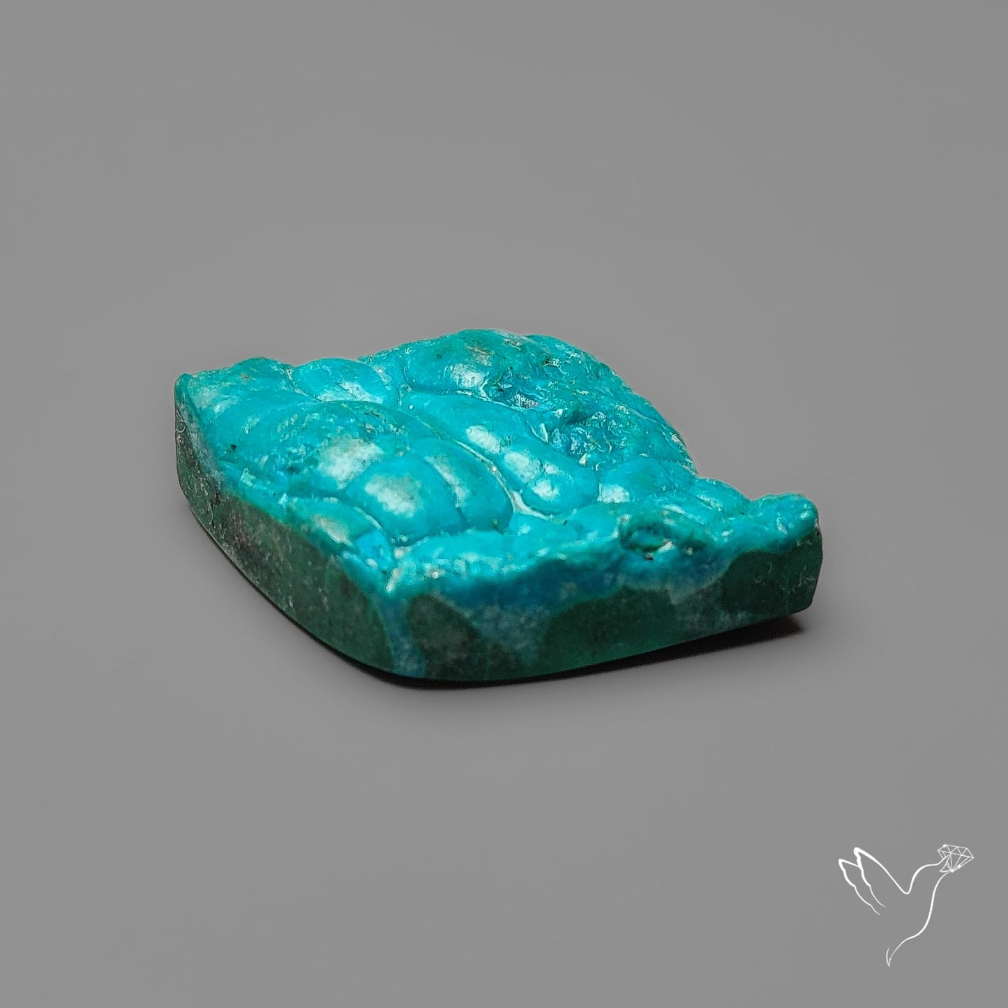 Rare Botryoidal Chrysocolla Raw Faced