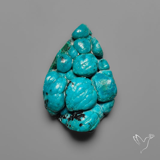 Rare Botryoidal Chrysocolla Raw Faced