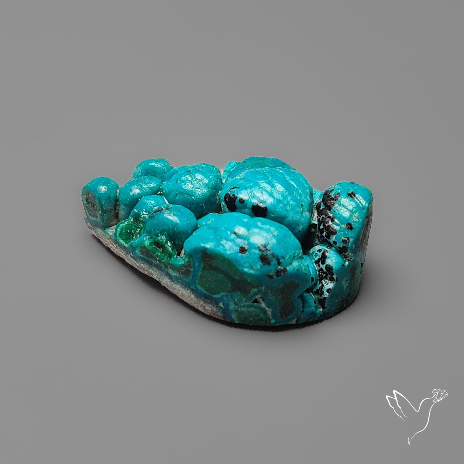 Rare Botryoidal Chrysocolla Raw Faced