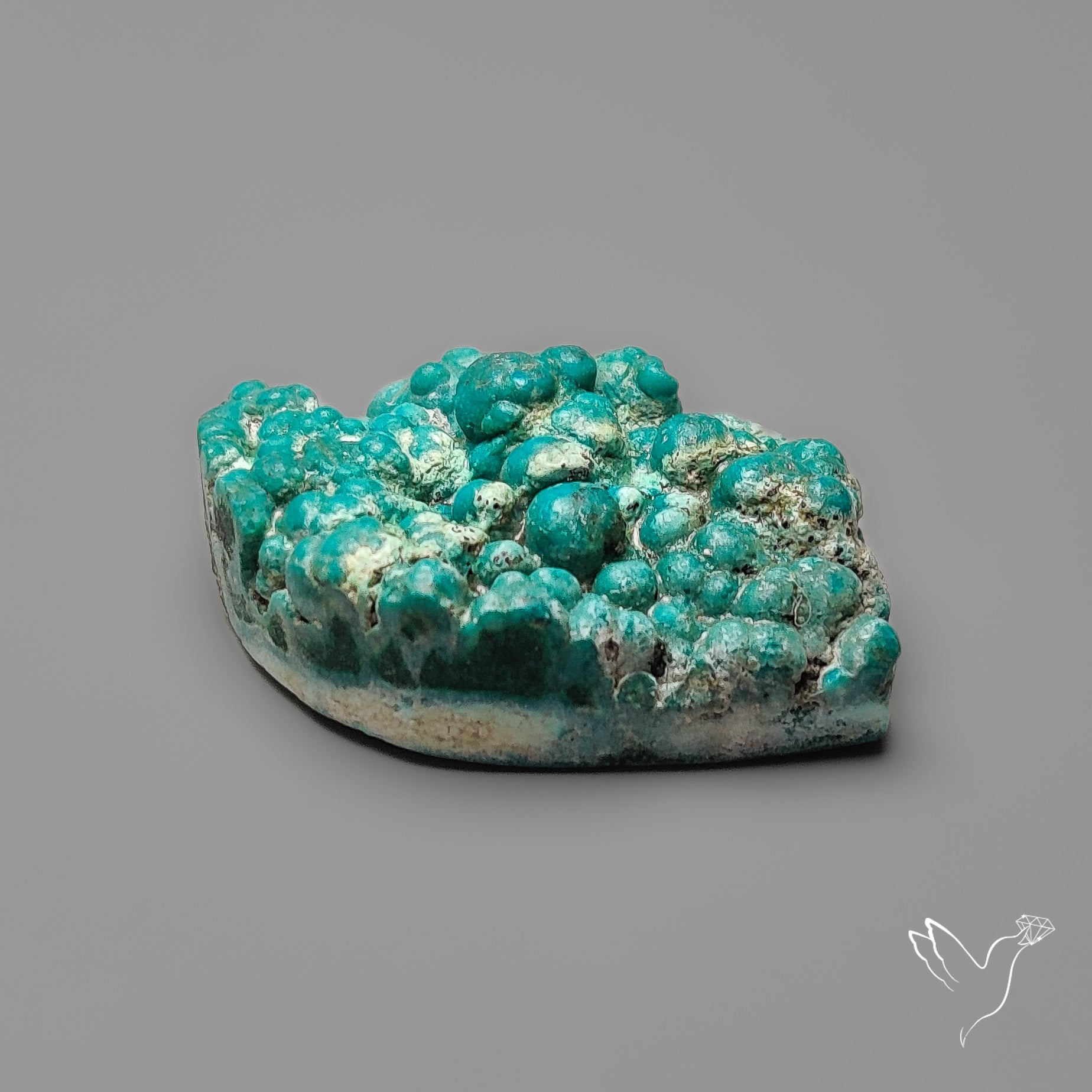 Rare Botryoidal Chrysocolla Raw Faced