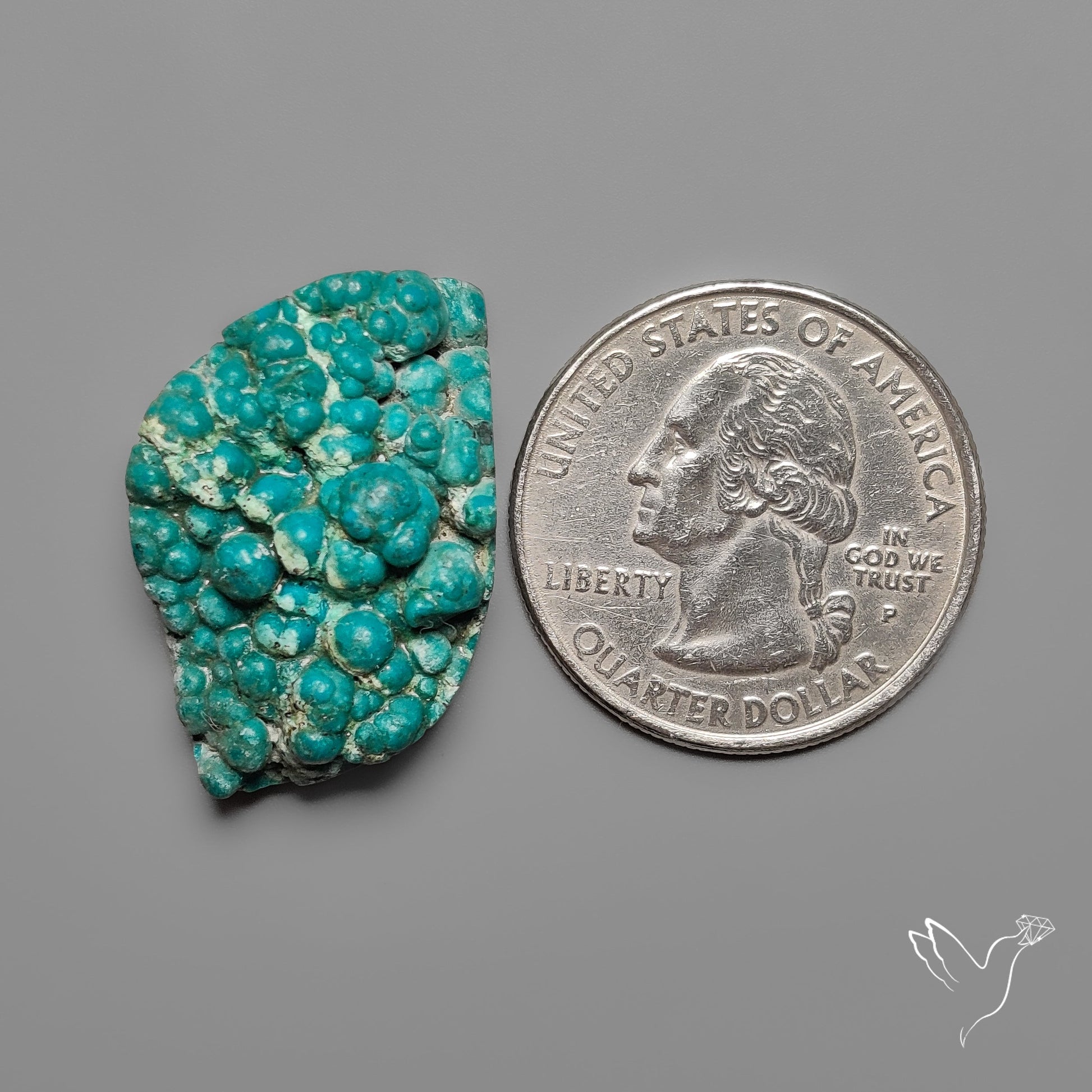 Rare Botryoidal Chrysocolla Raw Faced