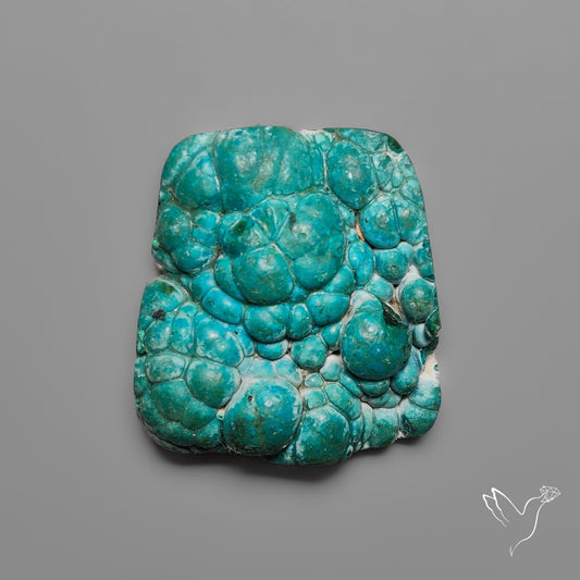 Rare Botryoidal Chrysocolla Raw Faced