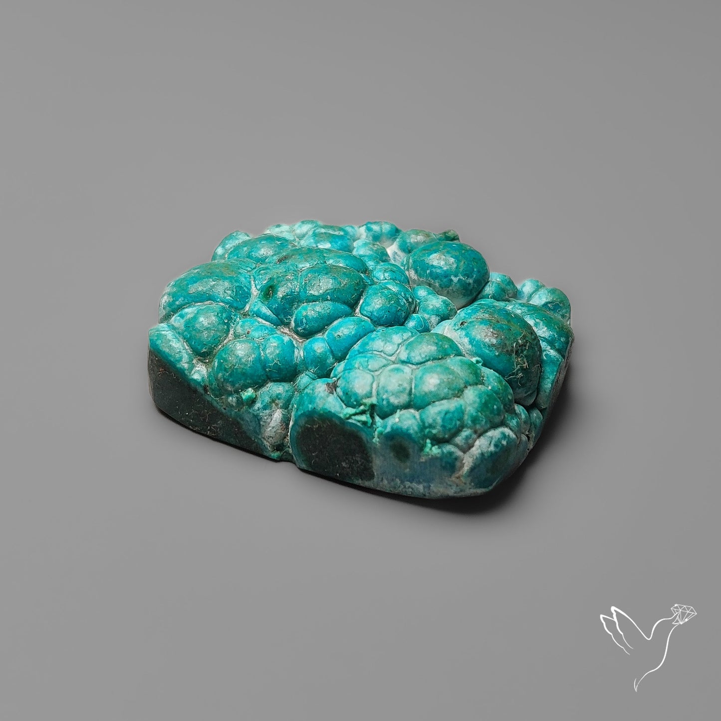 Rare Botryoidal Chrysocolla Raw Faced