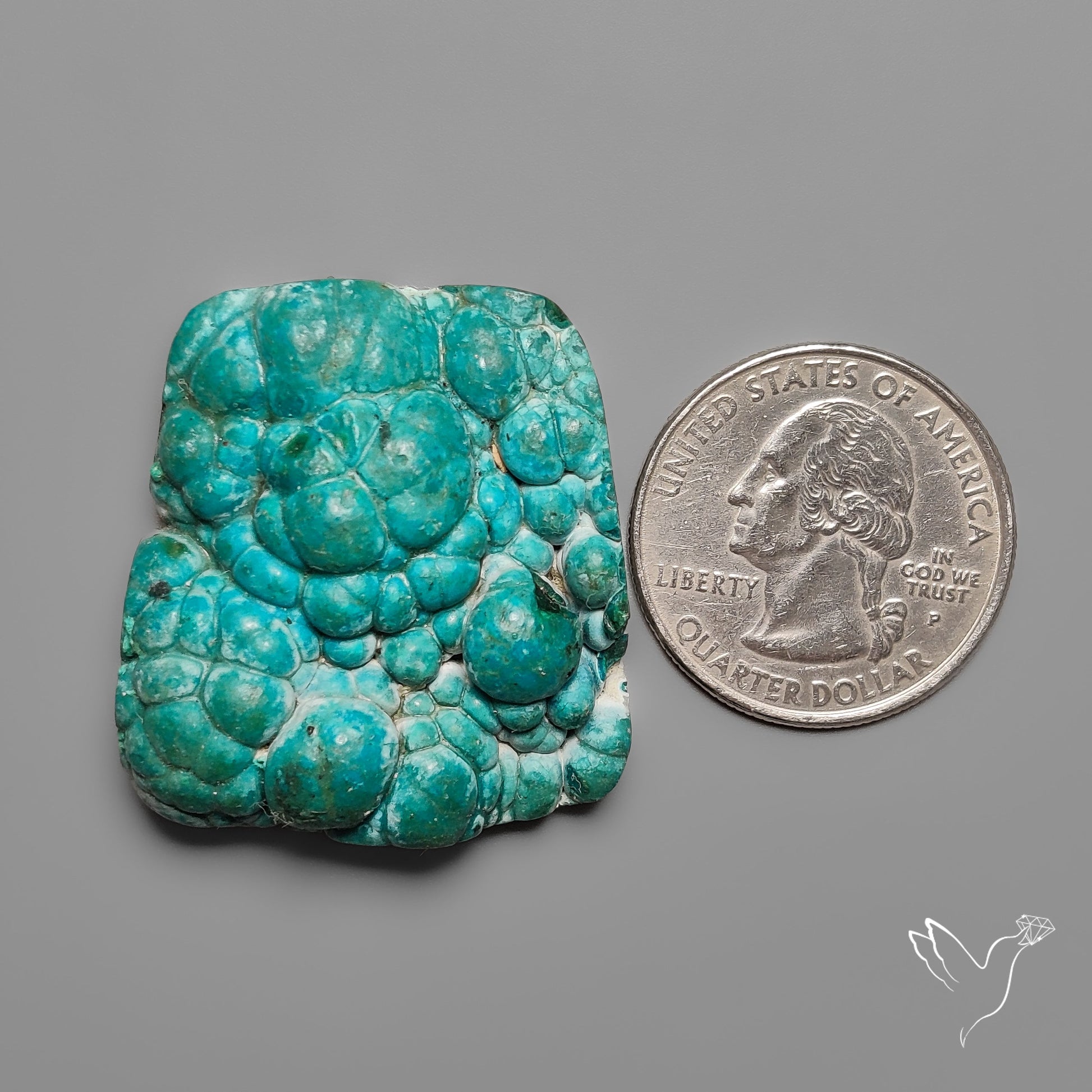 Rare Botryoidal Chrysocolla Raw Faced