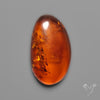 Baltic Amber Cabochon