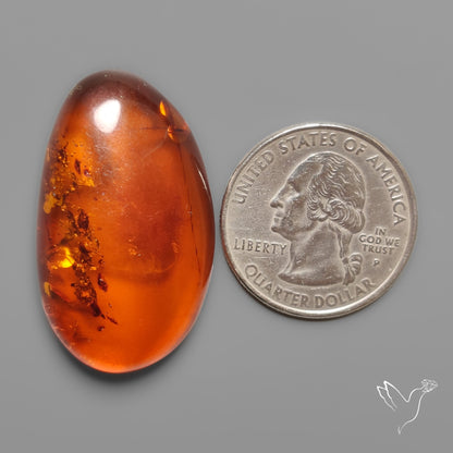 Baltic Amber Cabochon