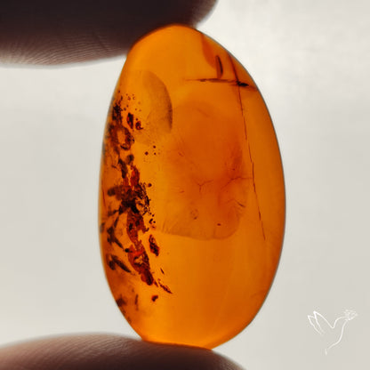 Baltic Amber Cabochon