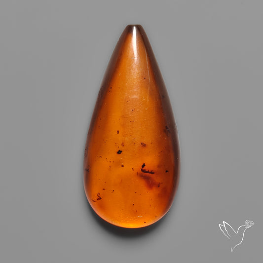 Baltic Amber Cabochon