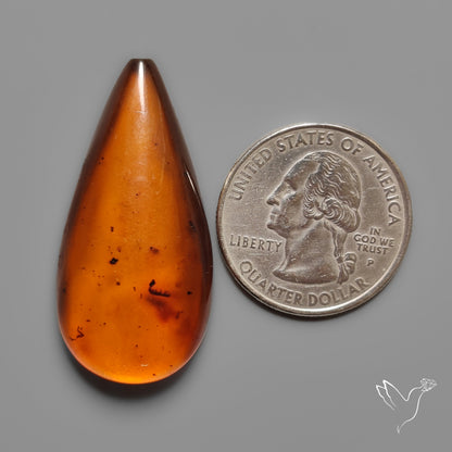 Baltic Amber Cabochon
