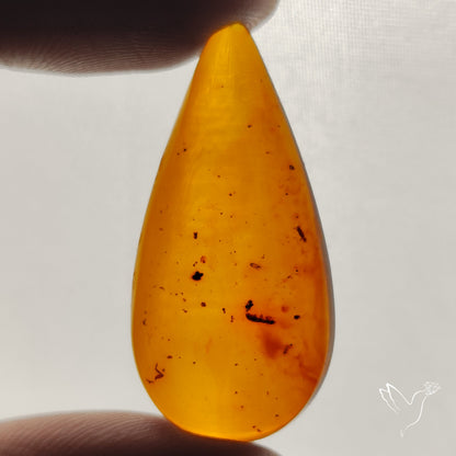 Baltic Amber Cabochon