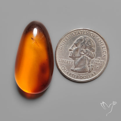 Baltic Amber Cabochon