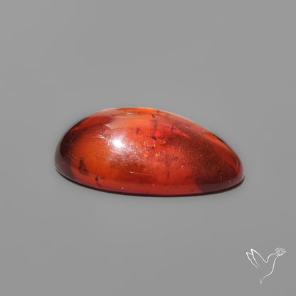 Baltic Amber Cabochon