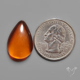 Baltic Amber Cabochon