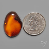 Baltic Amber Cabochon