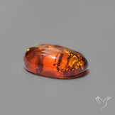 Baltic Amber Cabochon