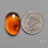 Baltic Amber Cabochon