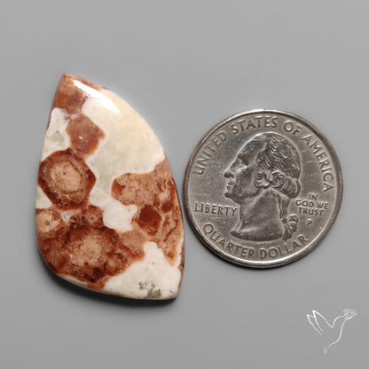Garnet In Limestone Cabochon