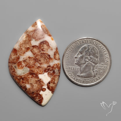 Garnet In Limestone Cabochon