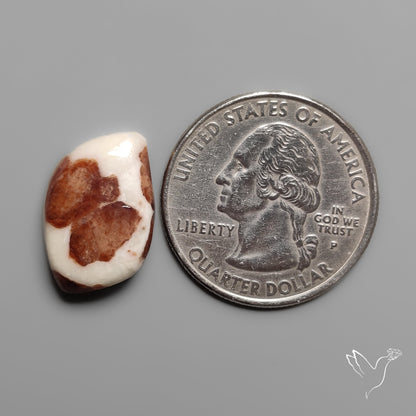 Garnet In Limestone Cabochon