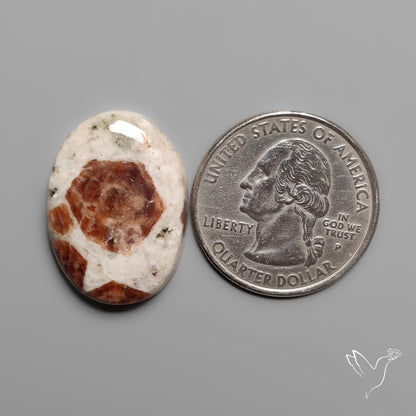 Garnet In Limestone Cabochon